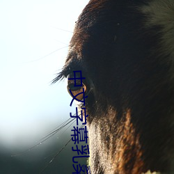 中(zhōng)文字幕乳桑田授乳(rǔ)奶水电