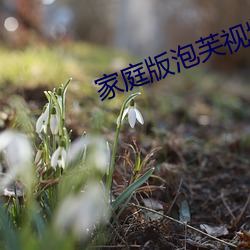 家庭版泡芙視頻